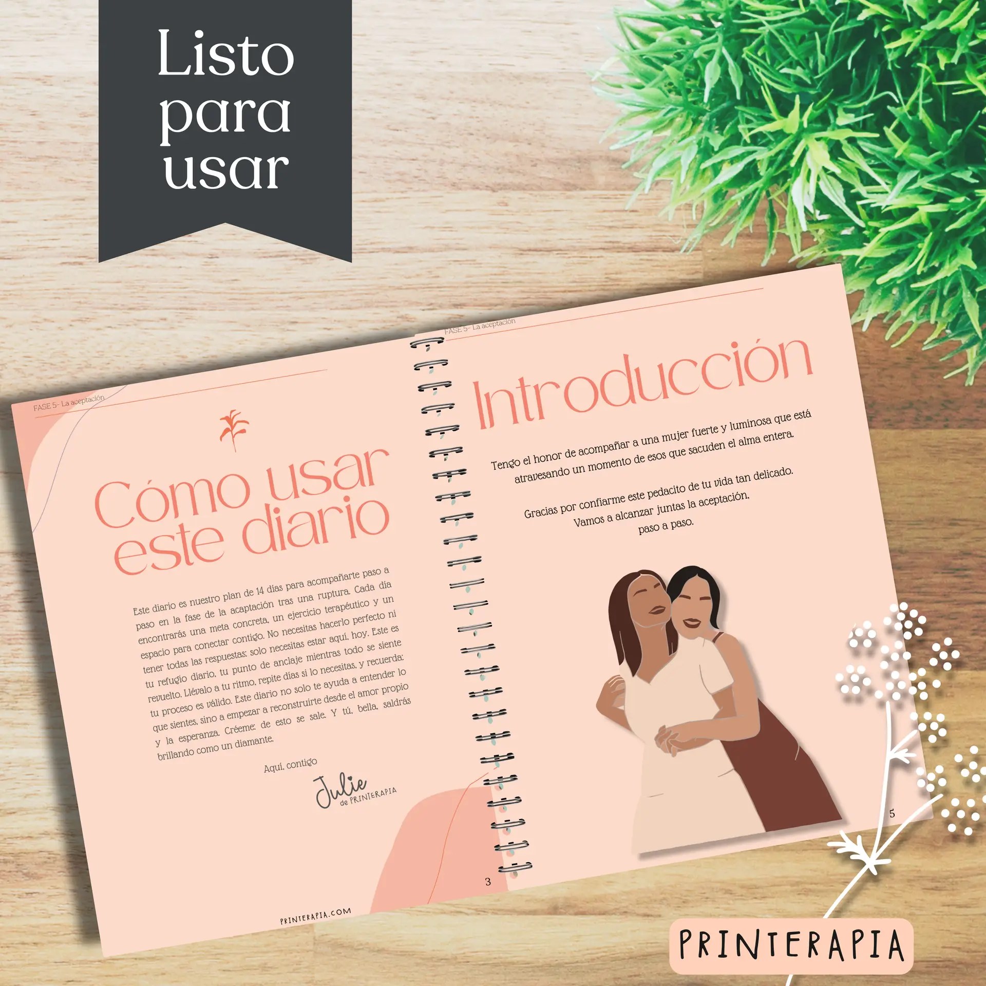 Diario imprimible para aceptar una ruptura