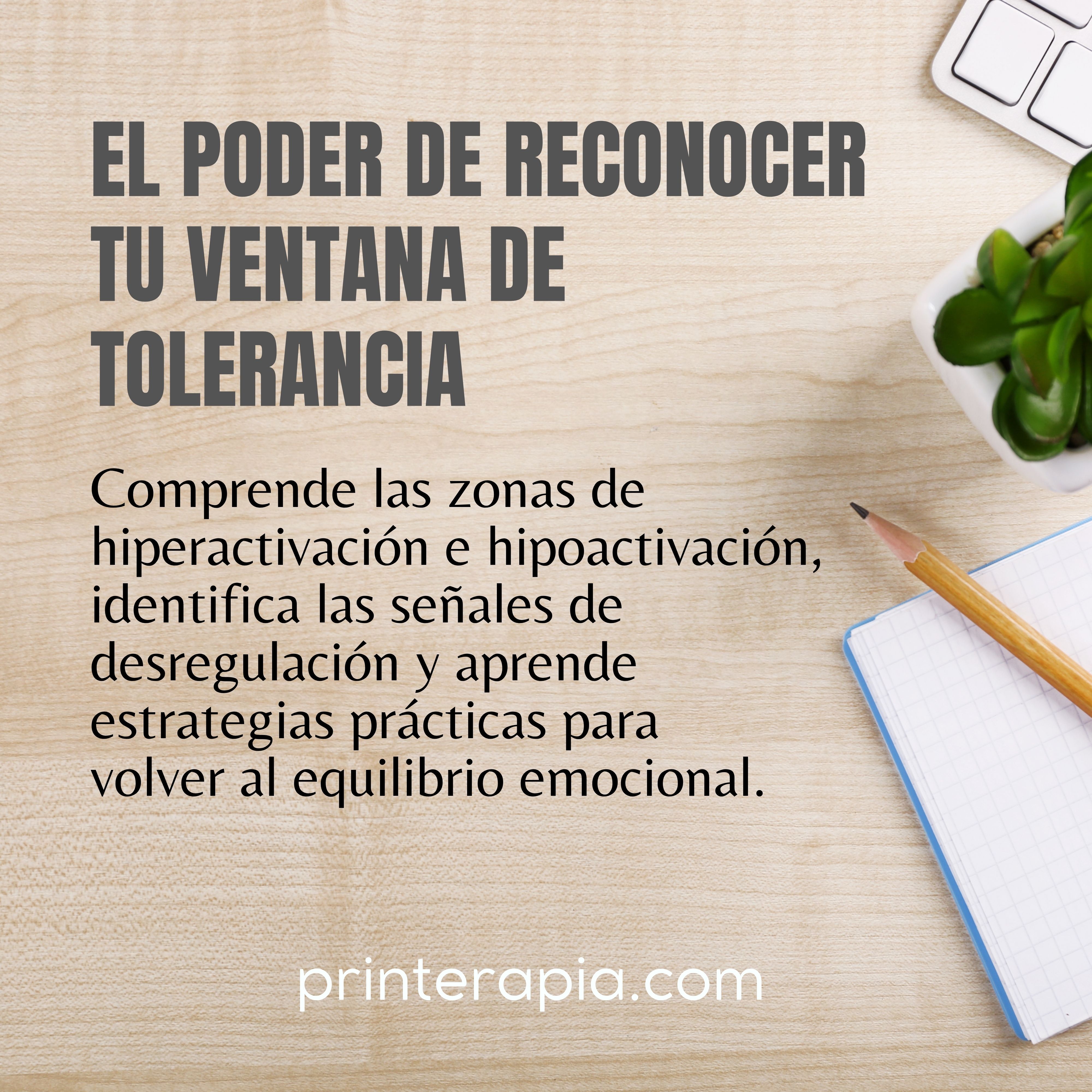 Ilustración de la ventana de tolerancia mostrando estados de regulación, hiperactivación e hipoactivación del sistema nervioso