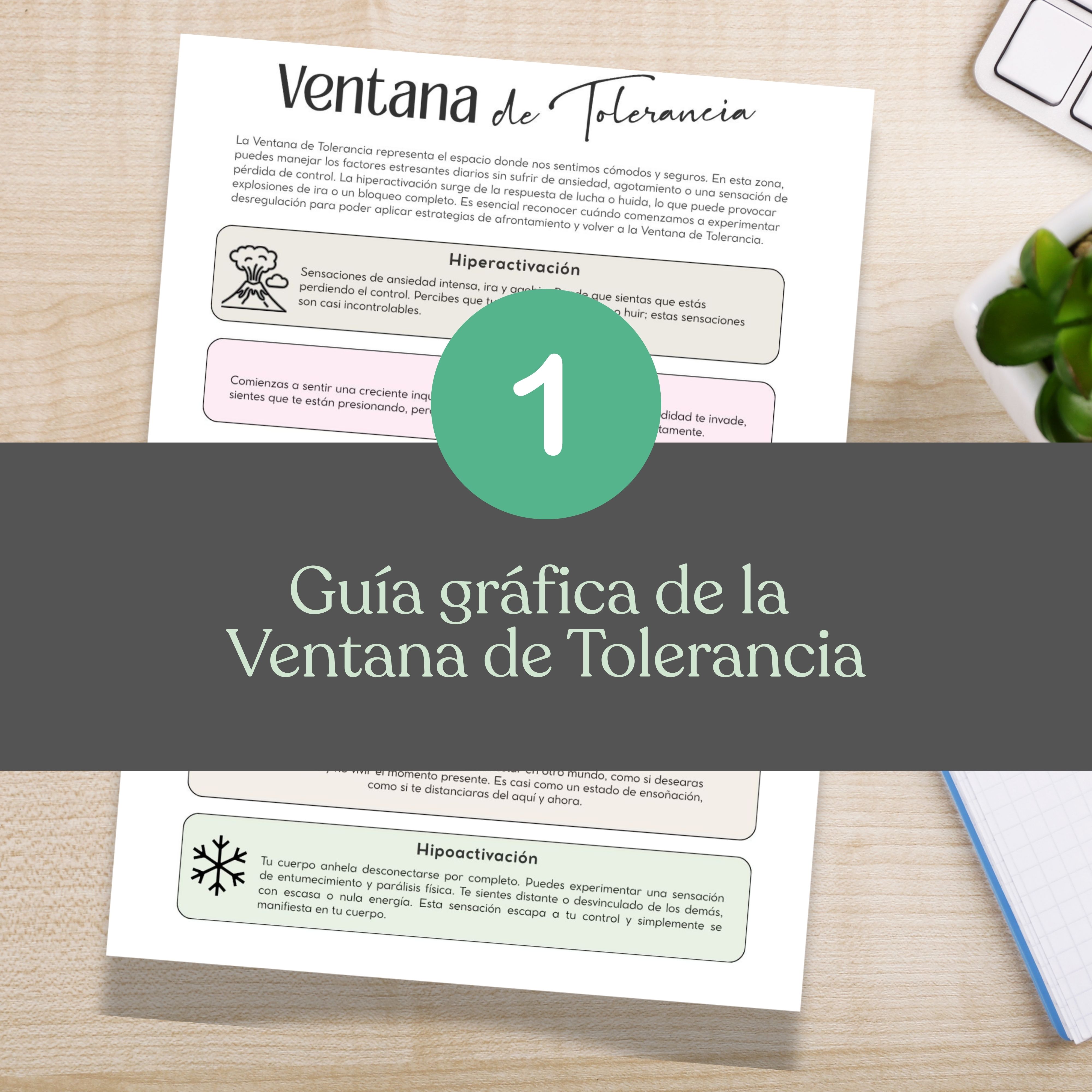 Ventana de Tolerancia PDF-Guía rápida y ejercicios