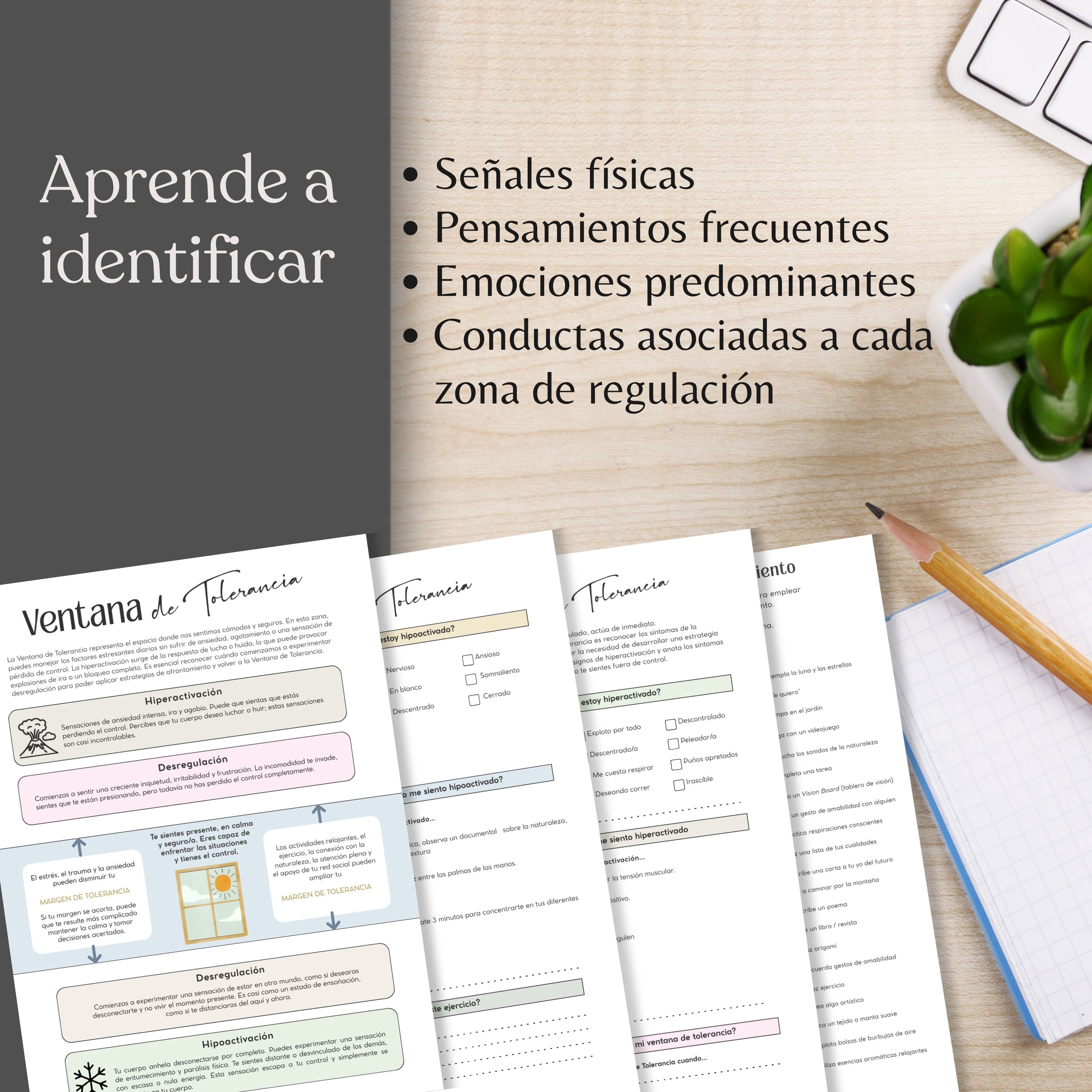 Ventana de Tolerancia PDF-Guía rápida y ejercicios