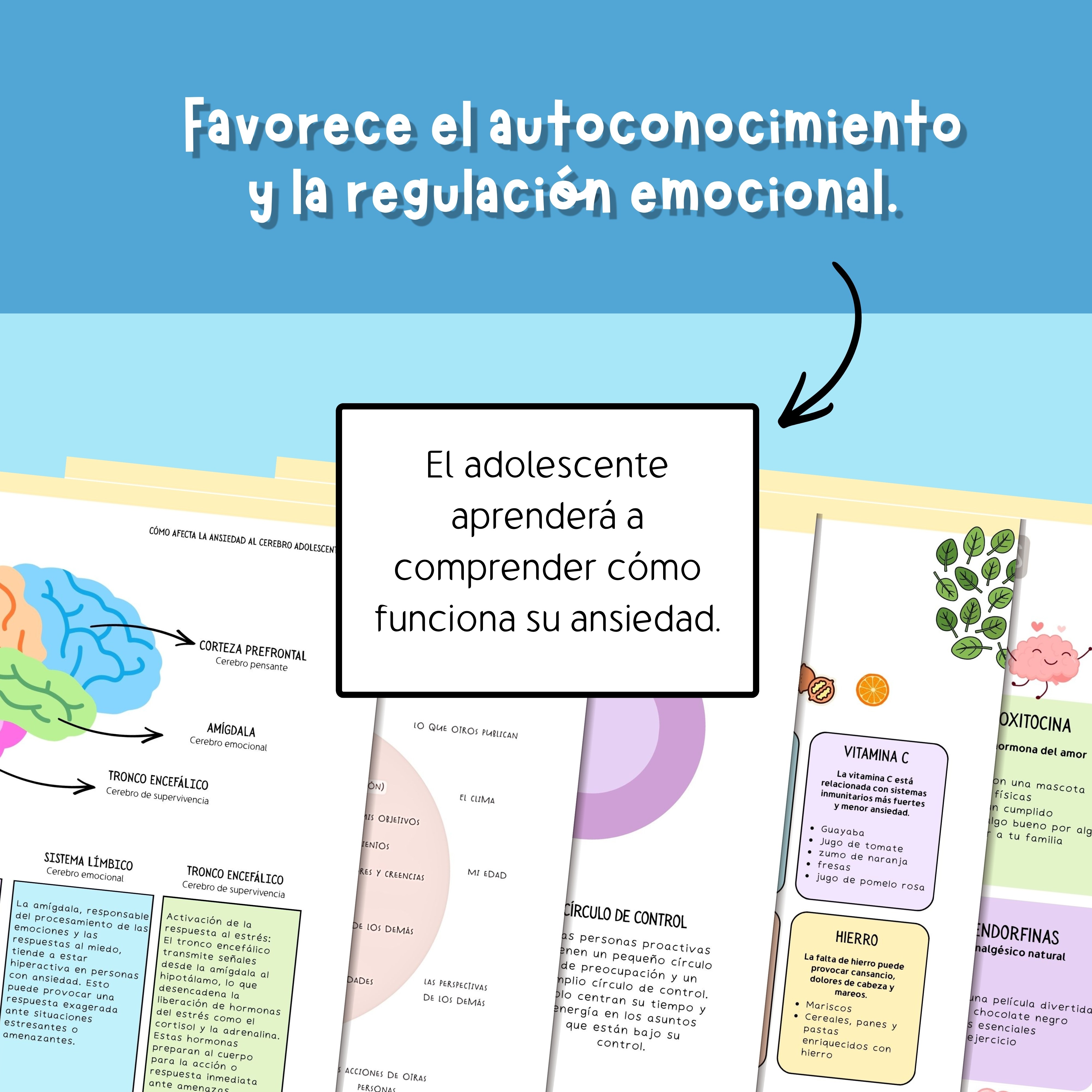 Actividades de Terapia Cognitivo-Conductual para reconocer desencadenantes y comprender el funcionamiento de la ansiedad.