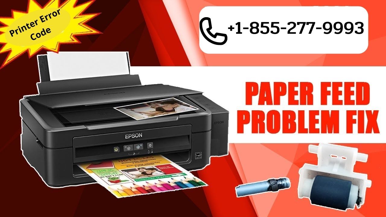 Troubleshoot Epson Printer Paper Feed Problems +18552779993