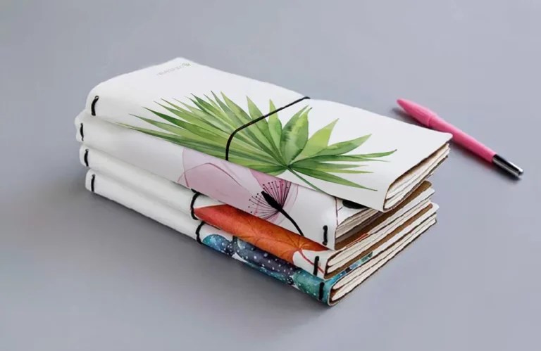 03 Dairy Journals