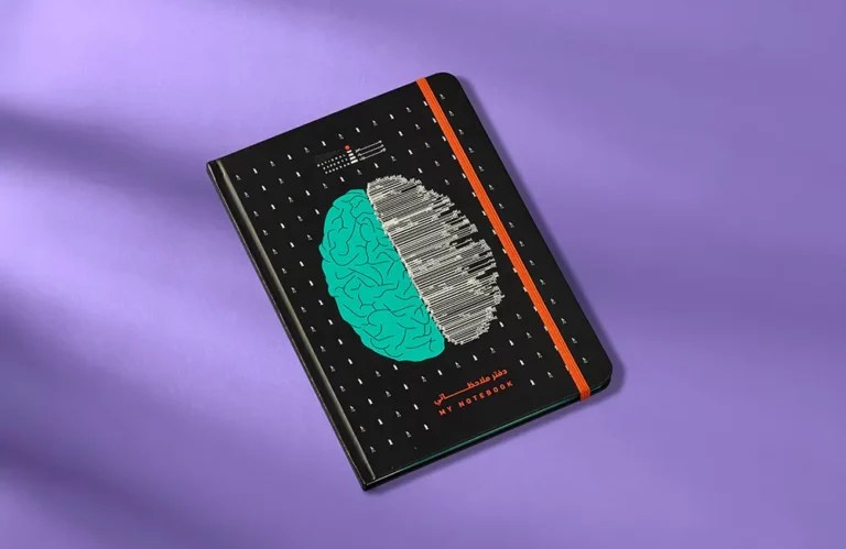 05 Dairy Journals