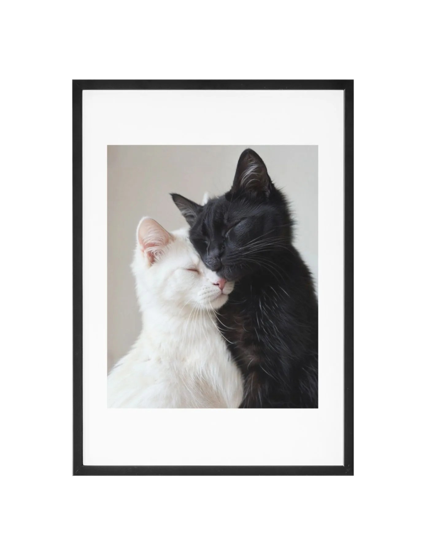 Tableau décoratif _ Cats