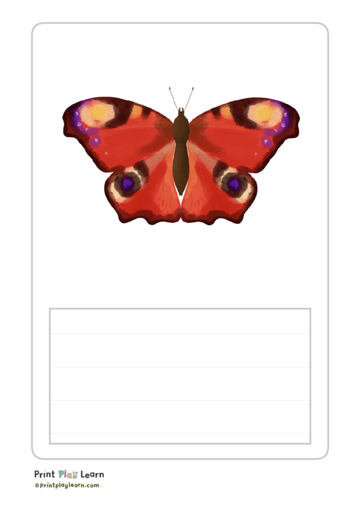 19.03.2015 · lamar's new album, to pimp a butterfly, doesn't explicitly bill itself as a movie like good kid, m.a.a.d city did, but the network of interlocking dramas explored here feels filmic nonetheless. Insect Posters Descriptive Writing Montessori Font Printable Teaching Resources Print Play Learn