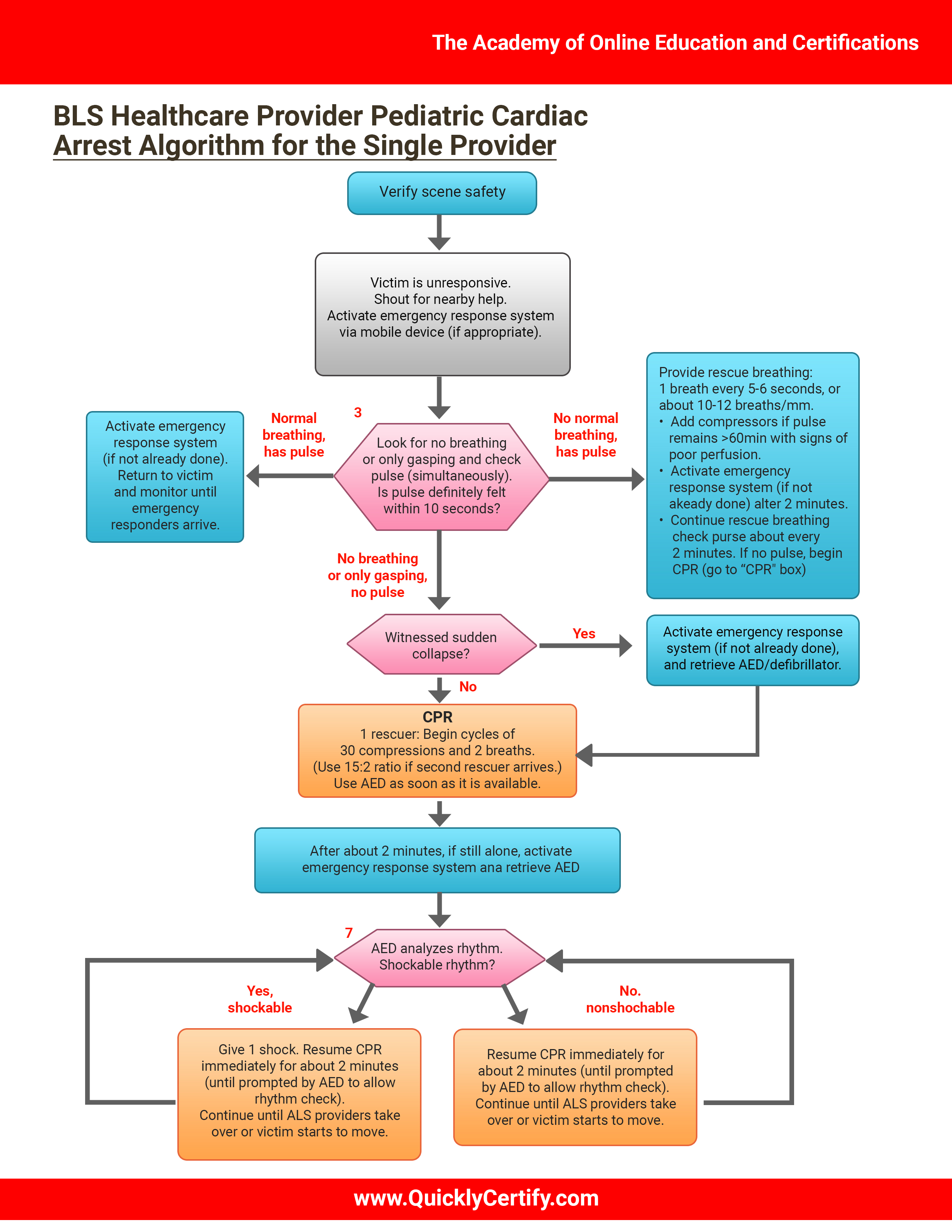 Pediatric advanced life support algorithms