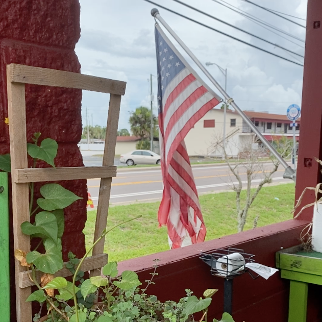 tree square flag lines
