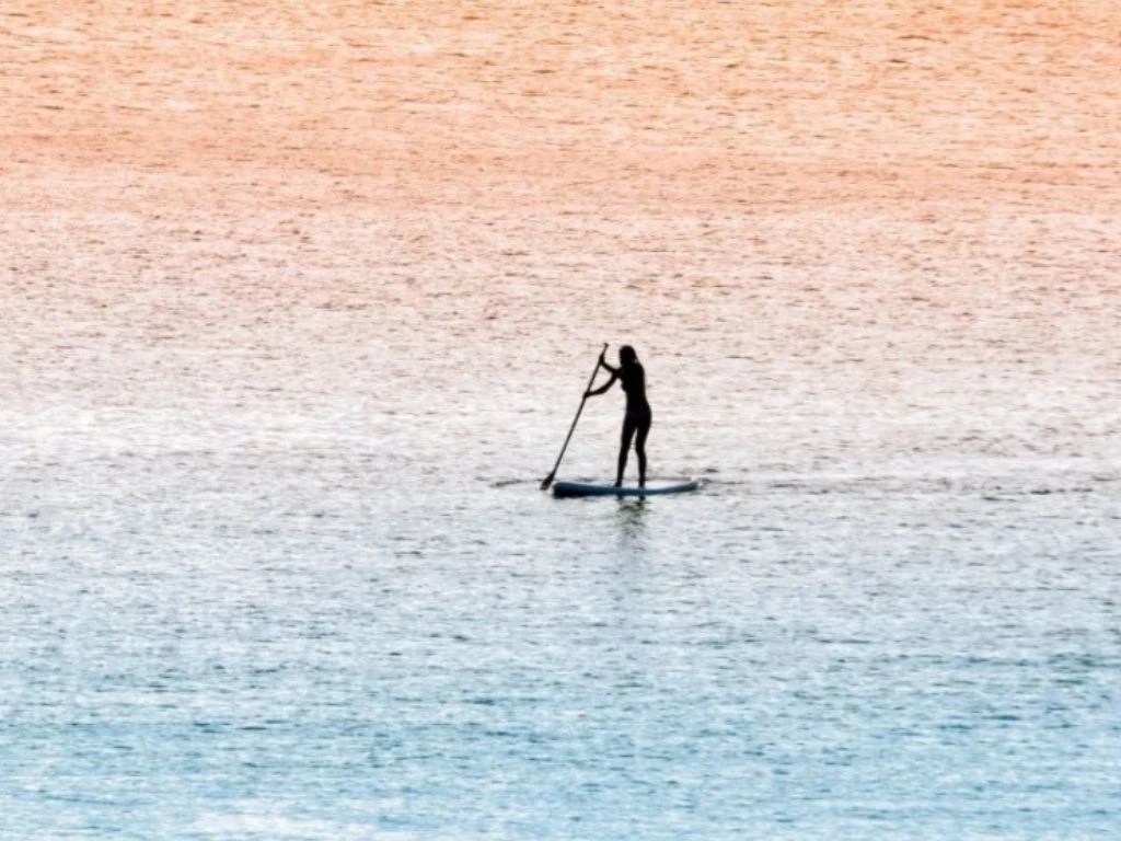 Stand Up Paddle Boarding
