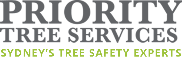 Services Priority Tree - Mountain Designs - High Quality Retina Collection