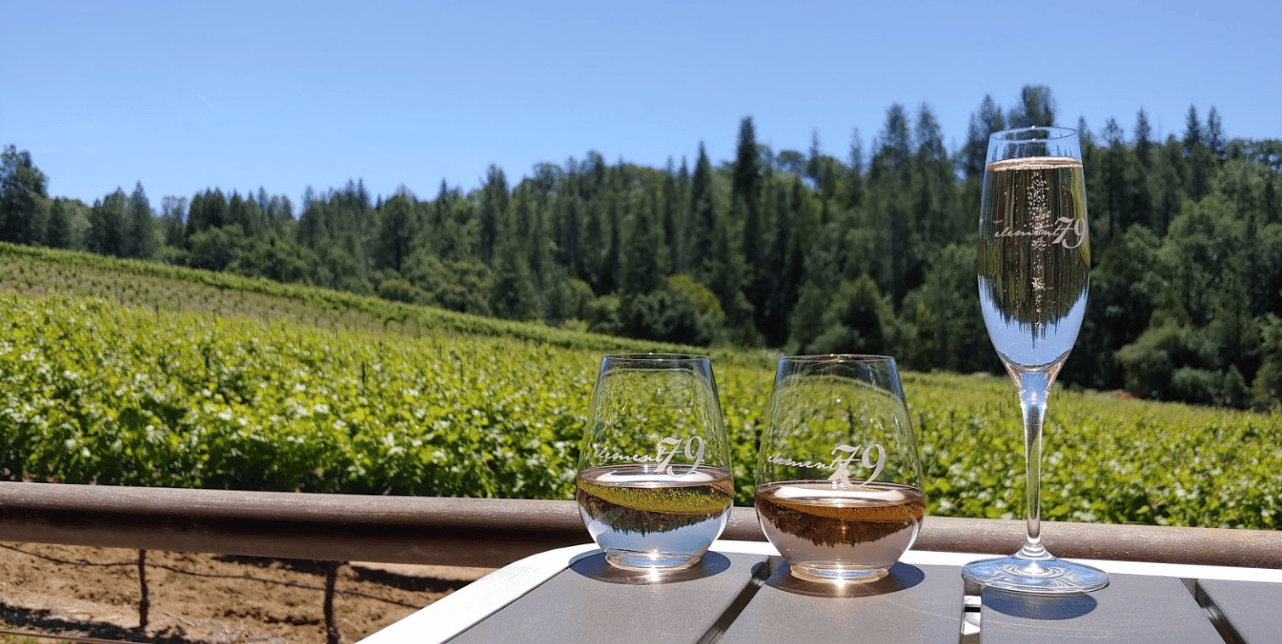 Private tasting at Element 79 Vineyards