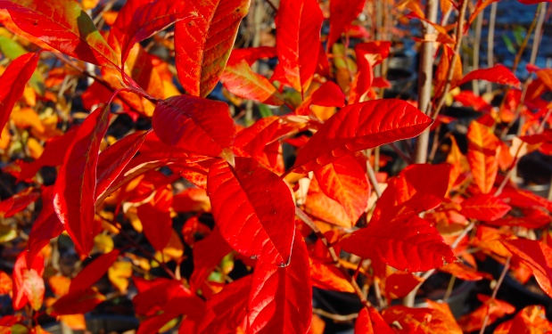 Weekend Performance Recovery