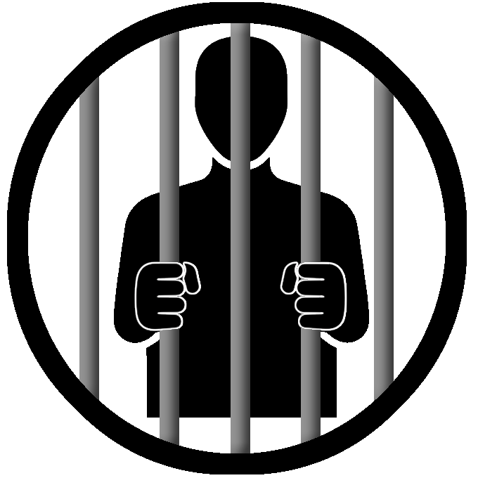 The Prison Experience Logo