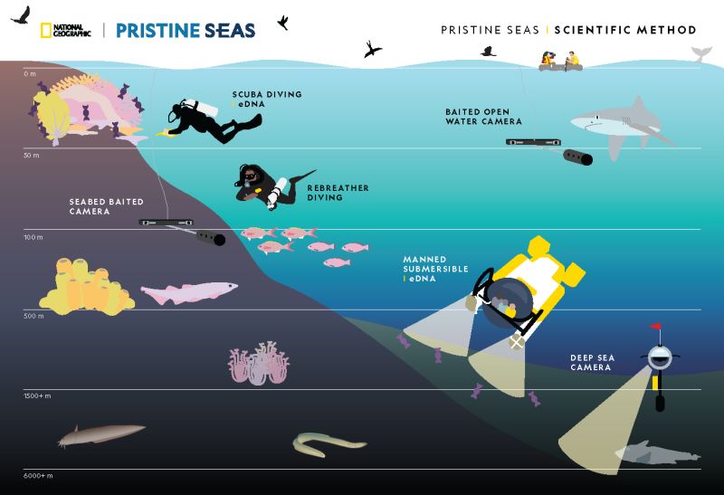 Sinharaja Pristine Github - Beautiful Minimal Art - 8K