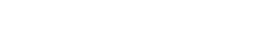 2 (Demo) – Nuevo Partido PRM