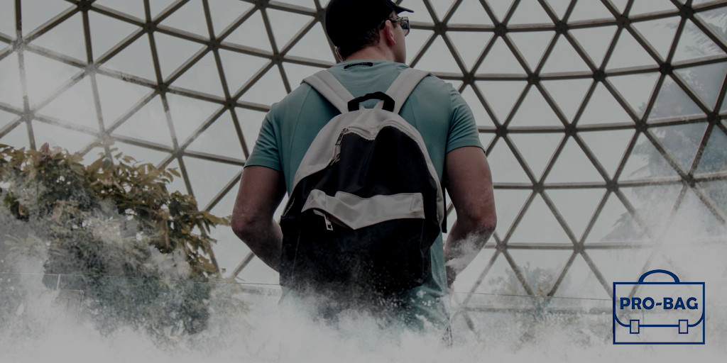 Pro Bag Professional Bag Manufacturer Custom Sports Bags Backpacks