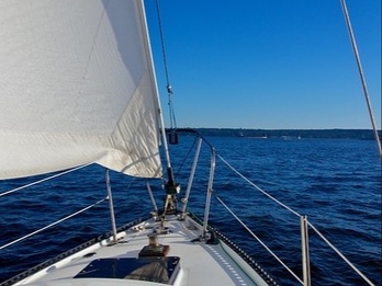 General Local Guidebook From The Palms At Young Circle