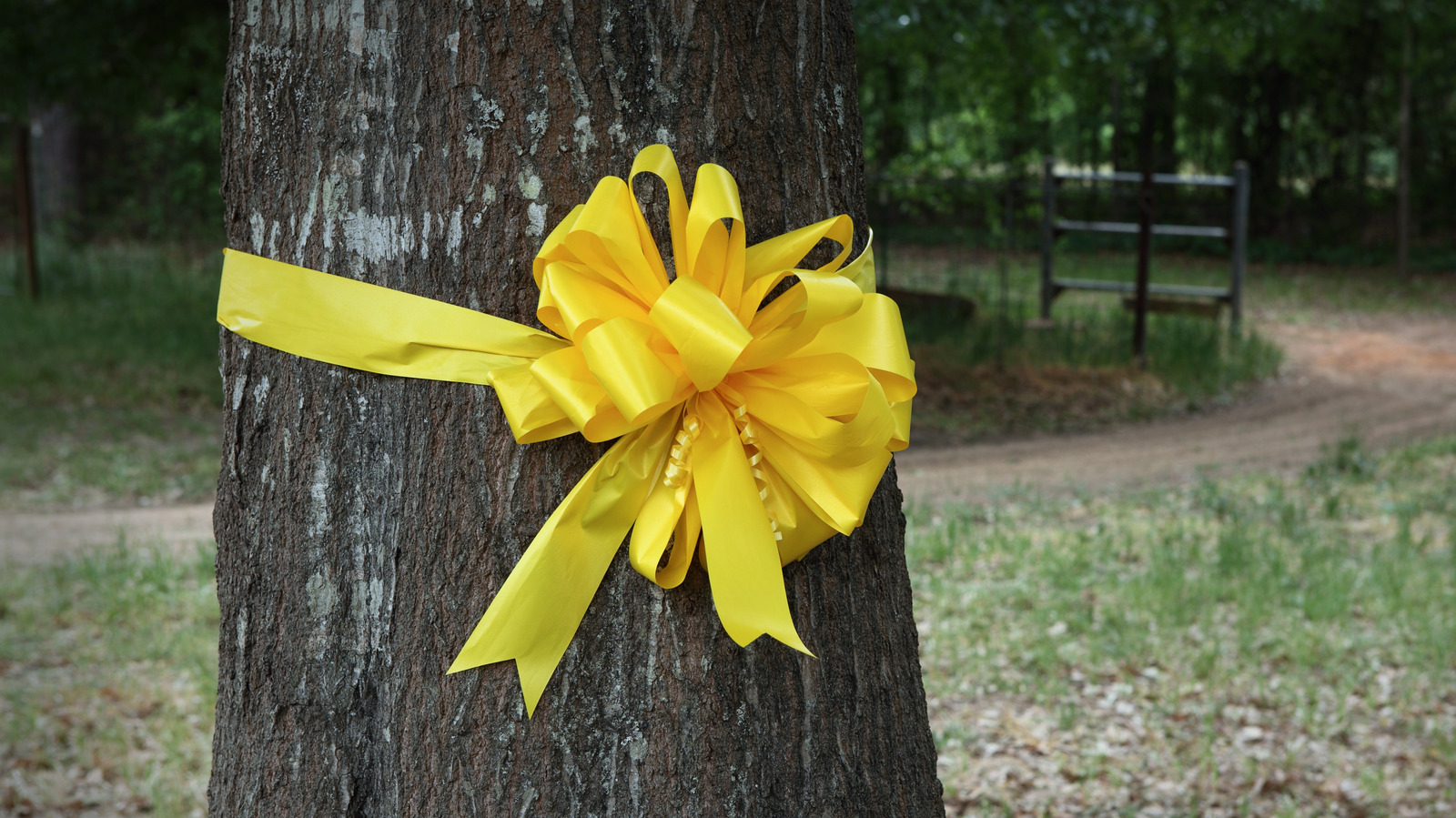 S1E5 – “Yellow Ribbon”