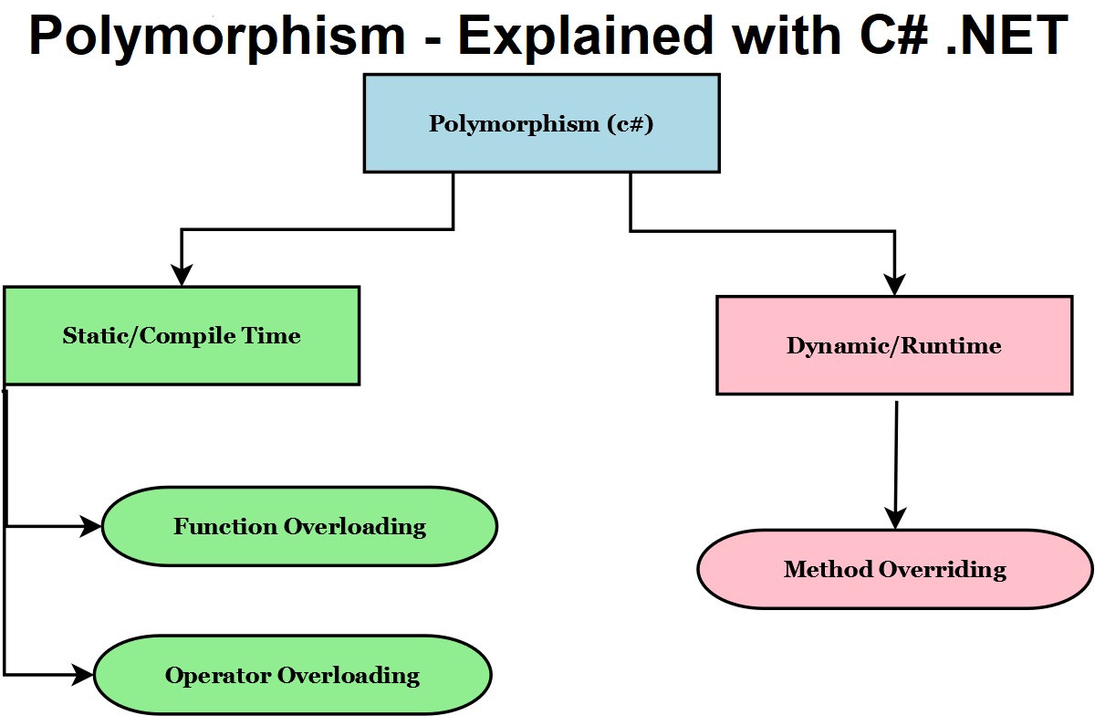 Polymorphism in C .NET Core - OOP Concept Detailed Explanation | Pro Code  Guide