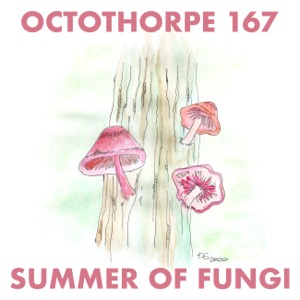 An watercolour of three pink mushrooms growing on the trunk of a tree. The words “Octothorpe 167” appear at the top, and “summer of fungi” appear at the bottom. The listener is left to discern which mushroom represents which co-host.