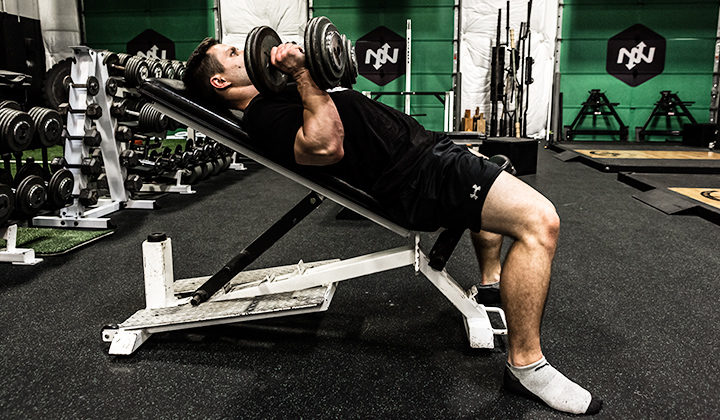 The decline bench press is an excellent exercise for strengthening your lowe. Jason Ferruggia's Top 5 Strength Exercises | Onnit Academy