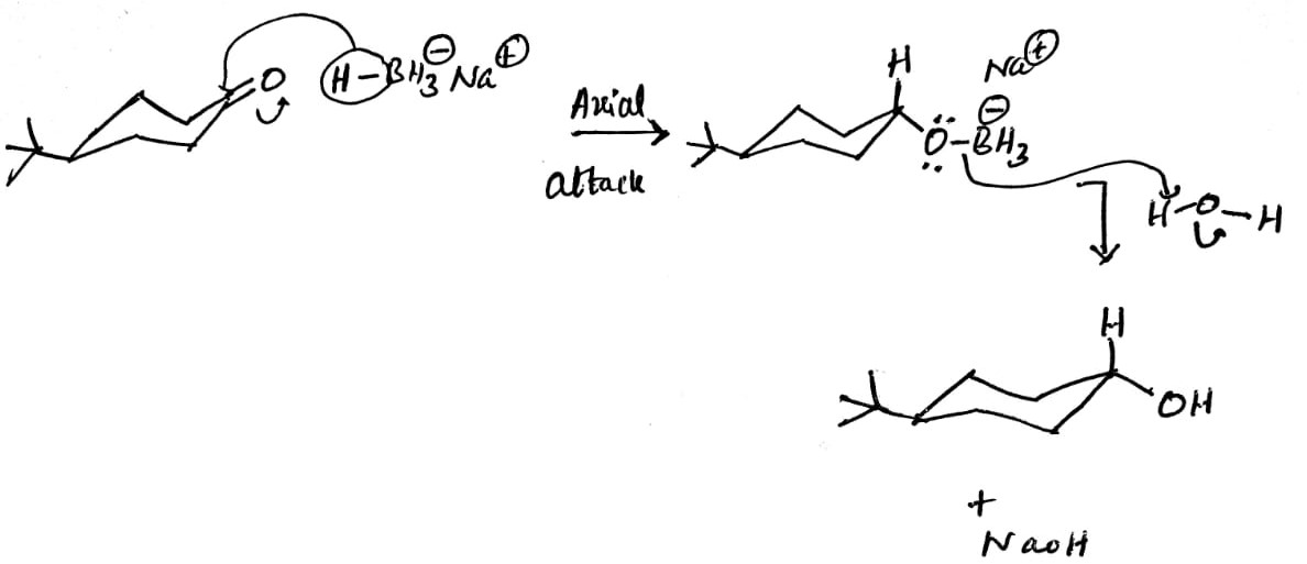 Pleaes Help Drawing Out The Full Mechanism With Chegg 4 Thus when the hydride attacks from the top face the alcohol OH group is pushed to the equatorial position.