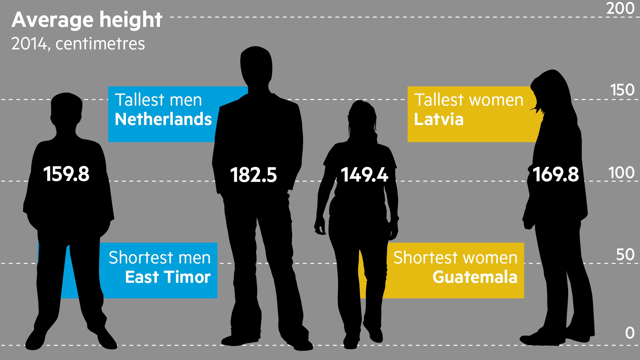 What is the average male height?