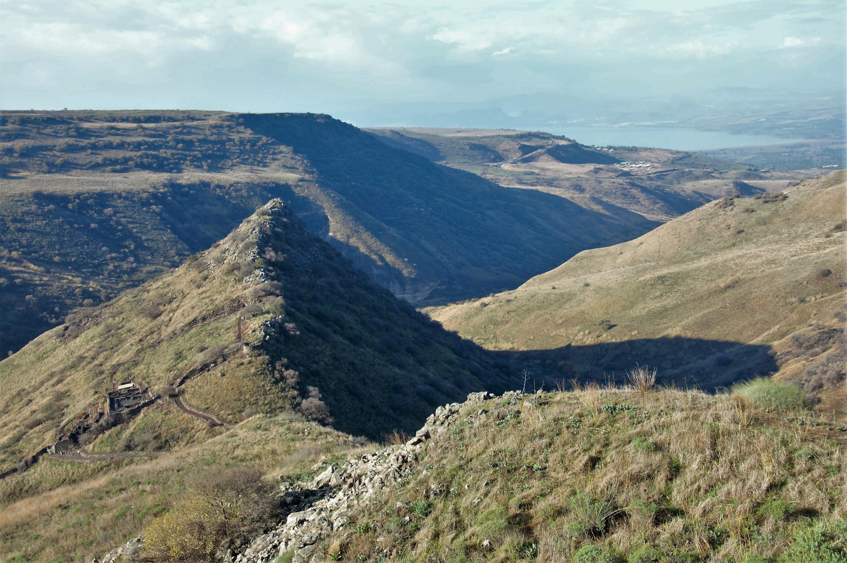 Gamla, in all its glory