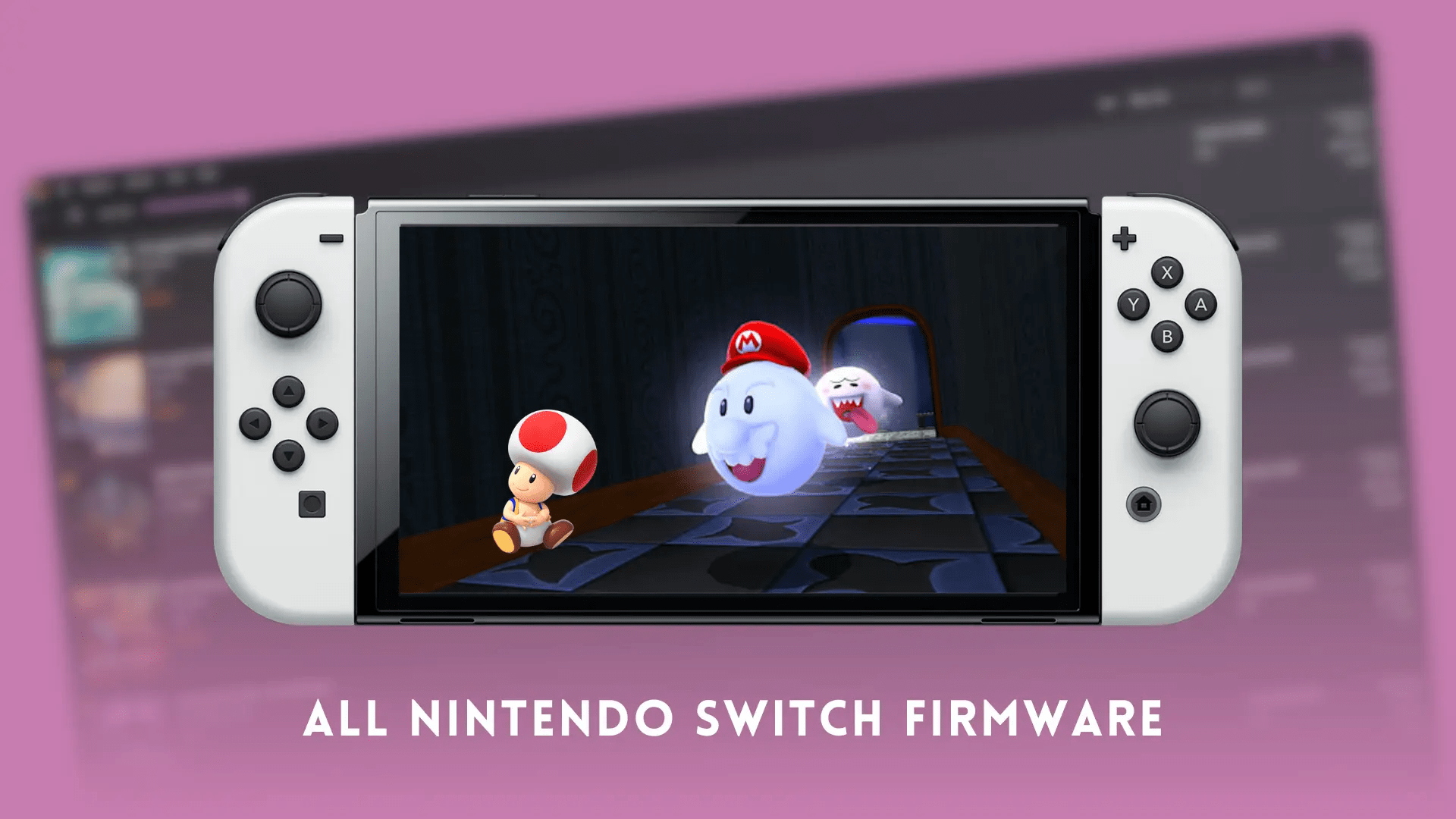 Nintendo Switch Firmware