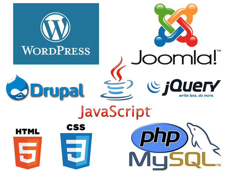 De plugin is daarnaast prettig voor developers, die hun eigen custom rapporten, velden en nog meer aan . Web Graphic Design Programming Screenprinting Marketing Seo