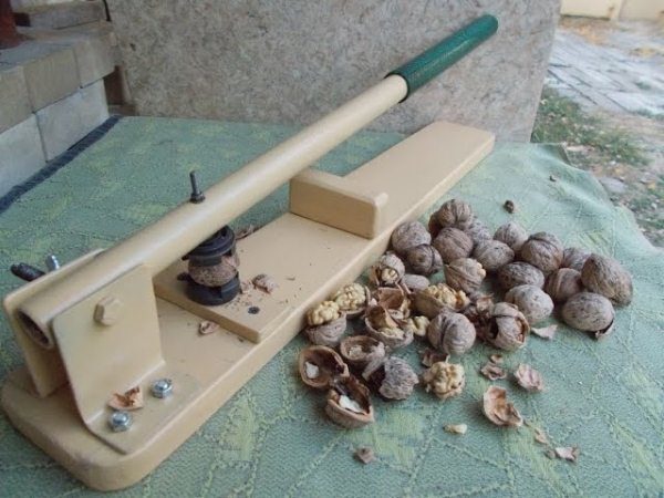 Чем отмыть руки от молодого грецкого ореха