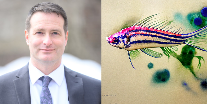 Robison Polymorphic Games - Download Amazing Landscape Illustration | High Resolution