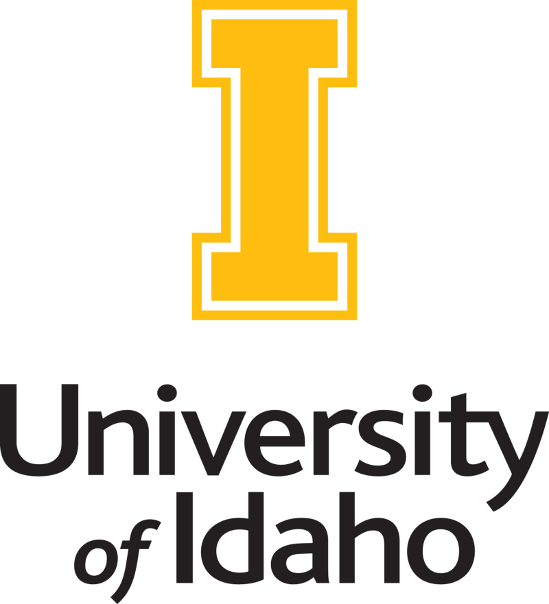 Robison Professor Polymorphic - Best Abstract Patterns in Retina