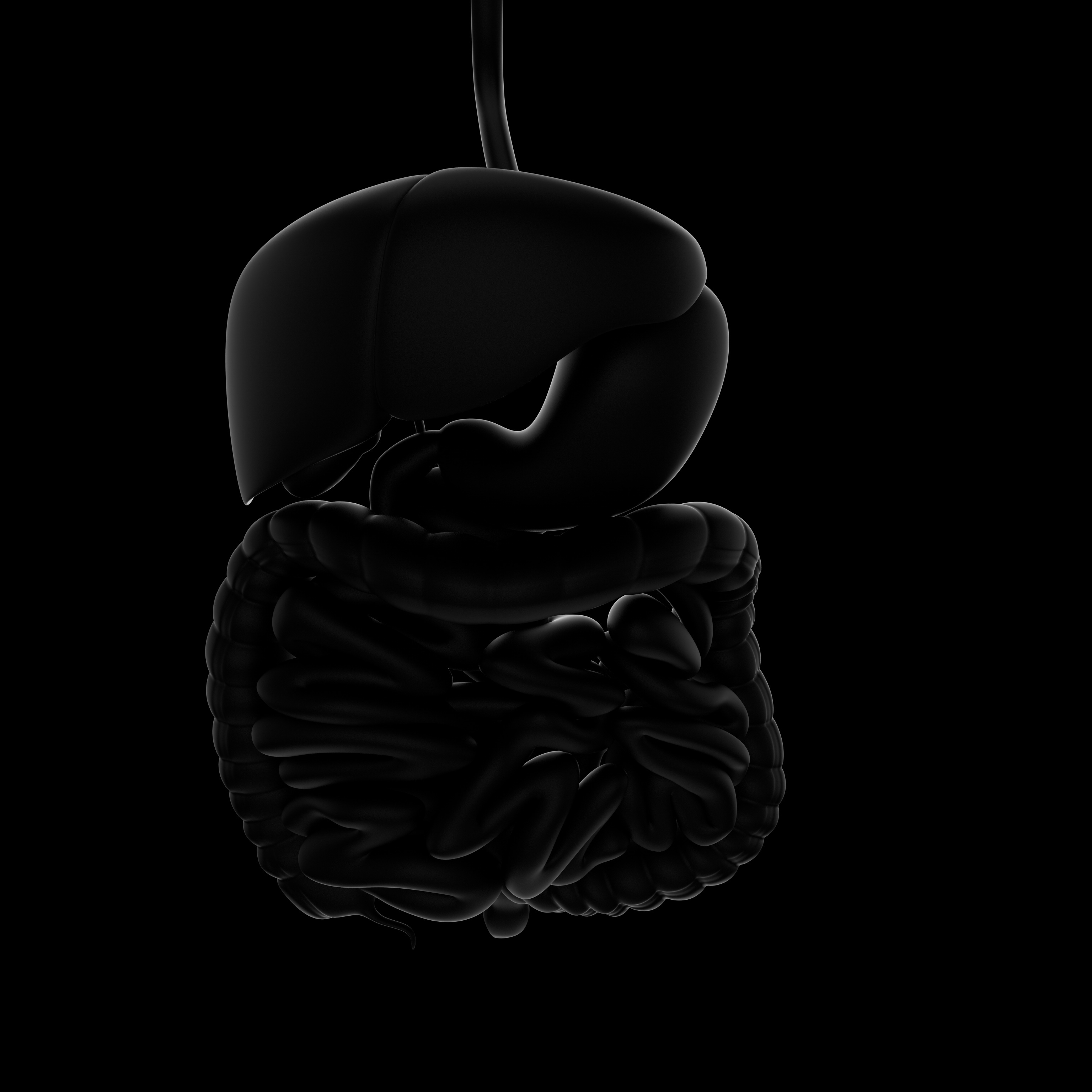 SIBO: The Hidden Gut Imbalance Behind Bloating, Brain Fog, and Fatigue in Birmingham Executives