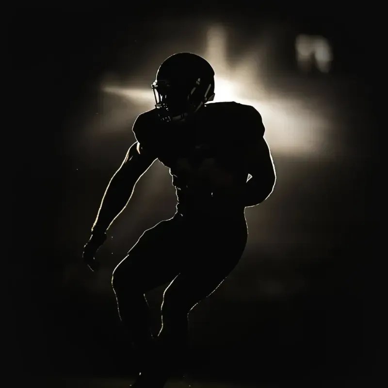 Pro-Fit High Performance Medicine - Integrated Functional Medicine and Performance Optimization