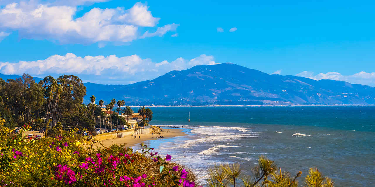Adjustable Dumbbells in Santa Barbara
