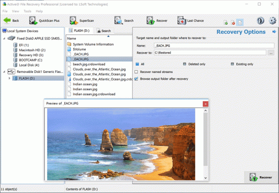 Active File Recovery Activation Key