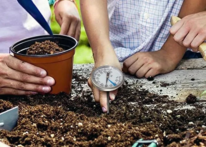Ground Temp Vs Air Temp Everything You Need To Know For Gardening