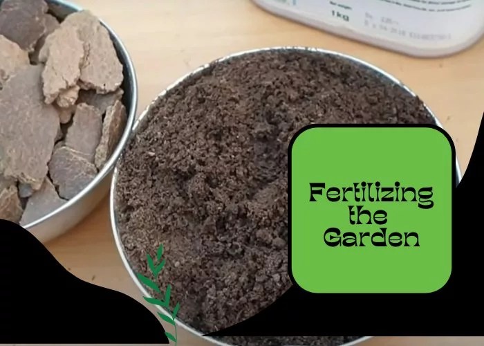 Fertilizing the Garden When and How to Fertilize your Garden Plants