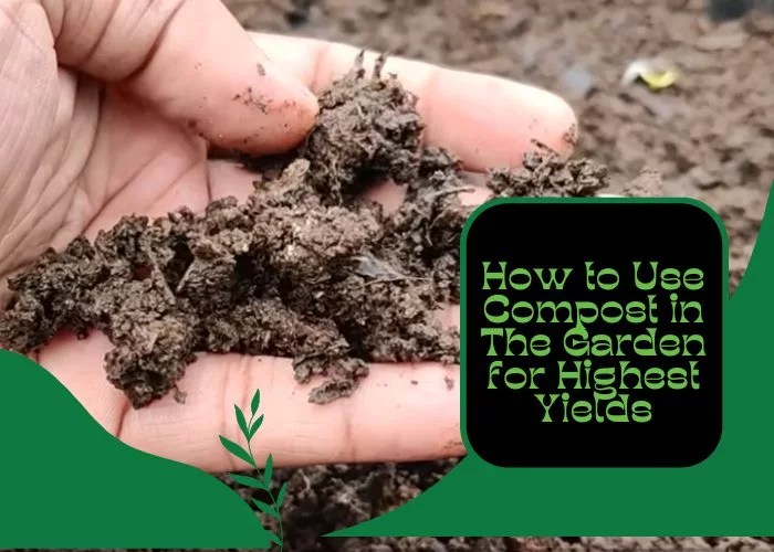 How to Use Compost in The Garden for Highest Yields Pro Gardening Blog