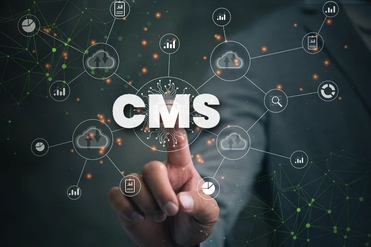 Cms Development Company For Custom Content Management System Cybrain - Landscape Textures - Beautiful Retina Collection