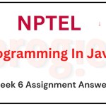 Programming in Java Nptel Week 6 Assignment Answers