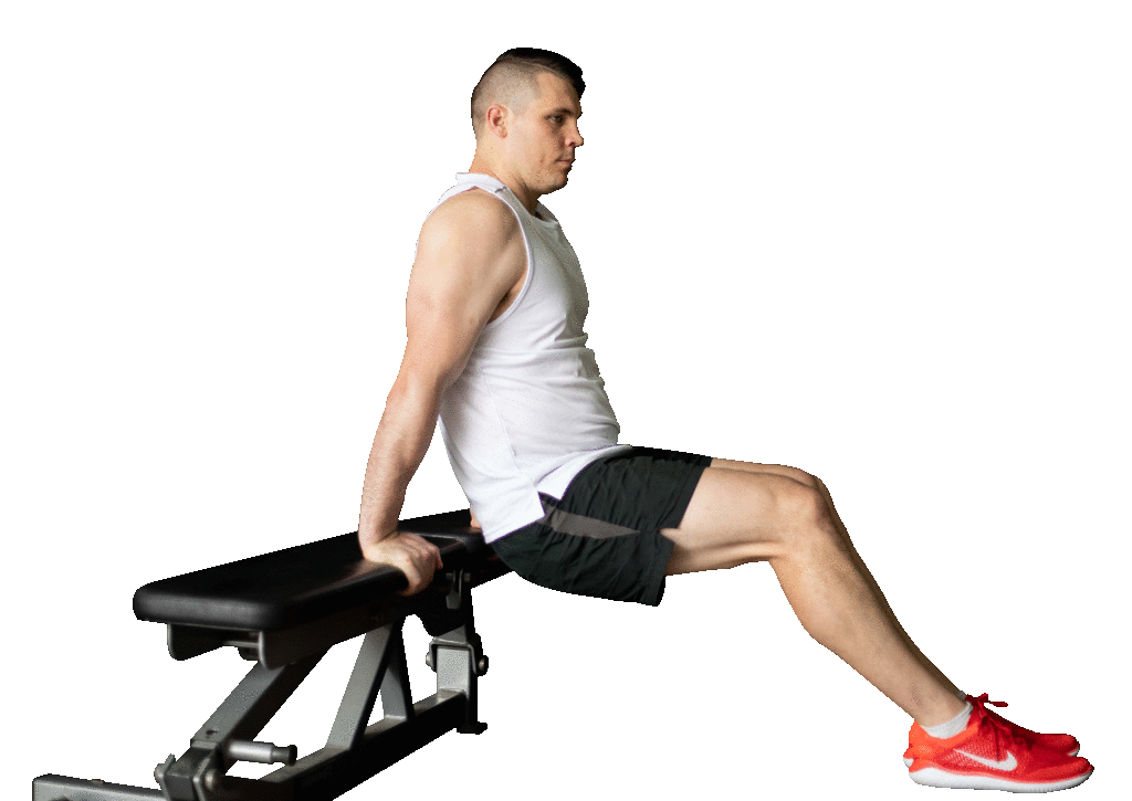Learn how to do this exercise: bench dip - Rapid LossÂ® Program