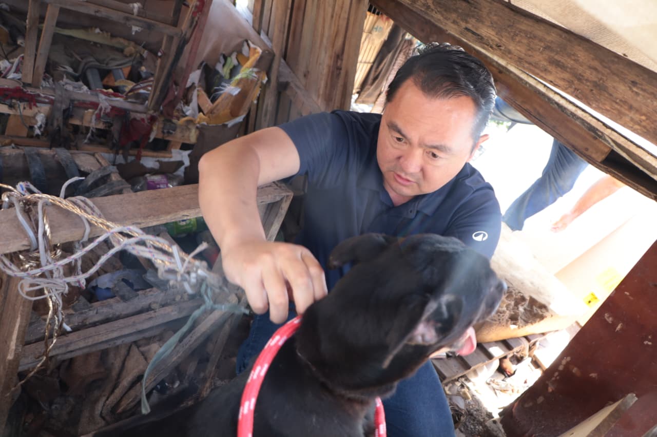 Ação conjunta resgata oito cães em situação precária no Jardim Monte Cristo, em Suzano