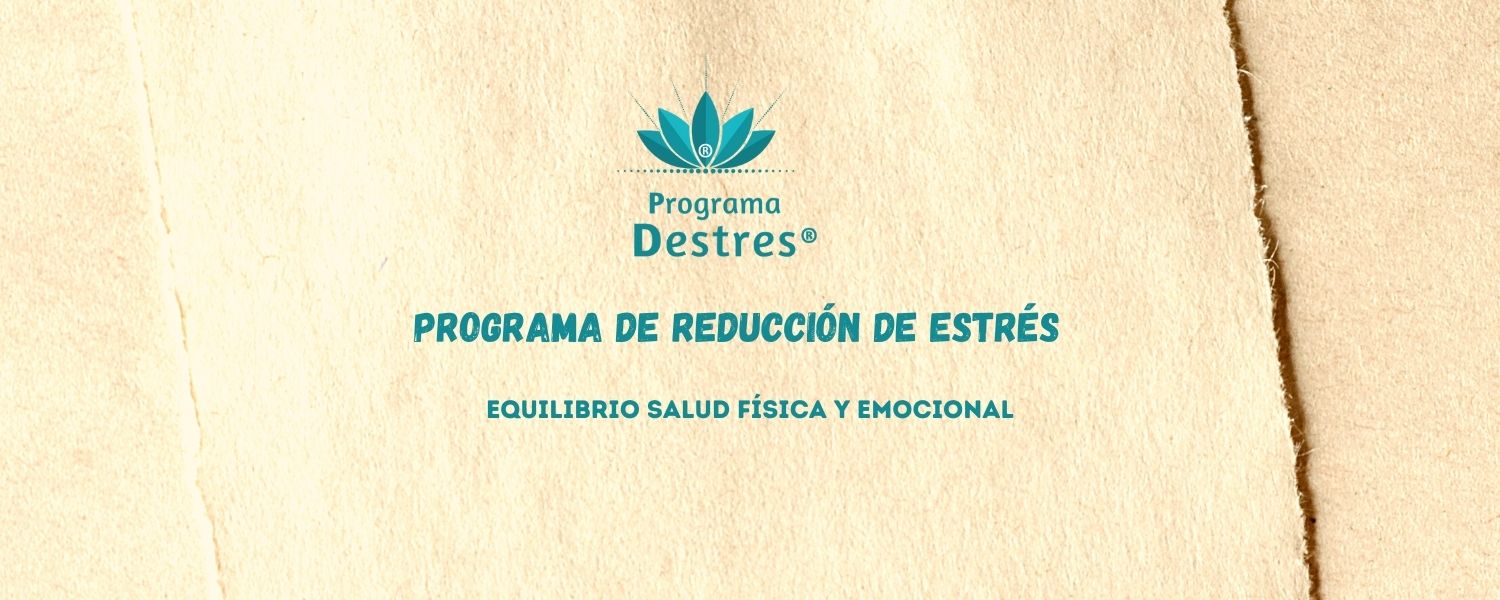 objetivos del programa destres