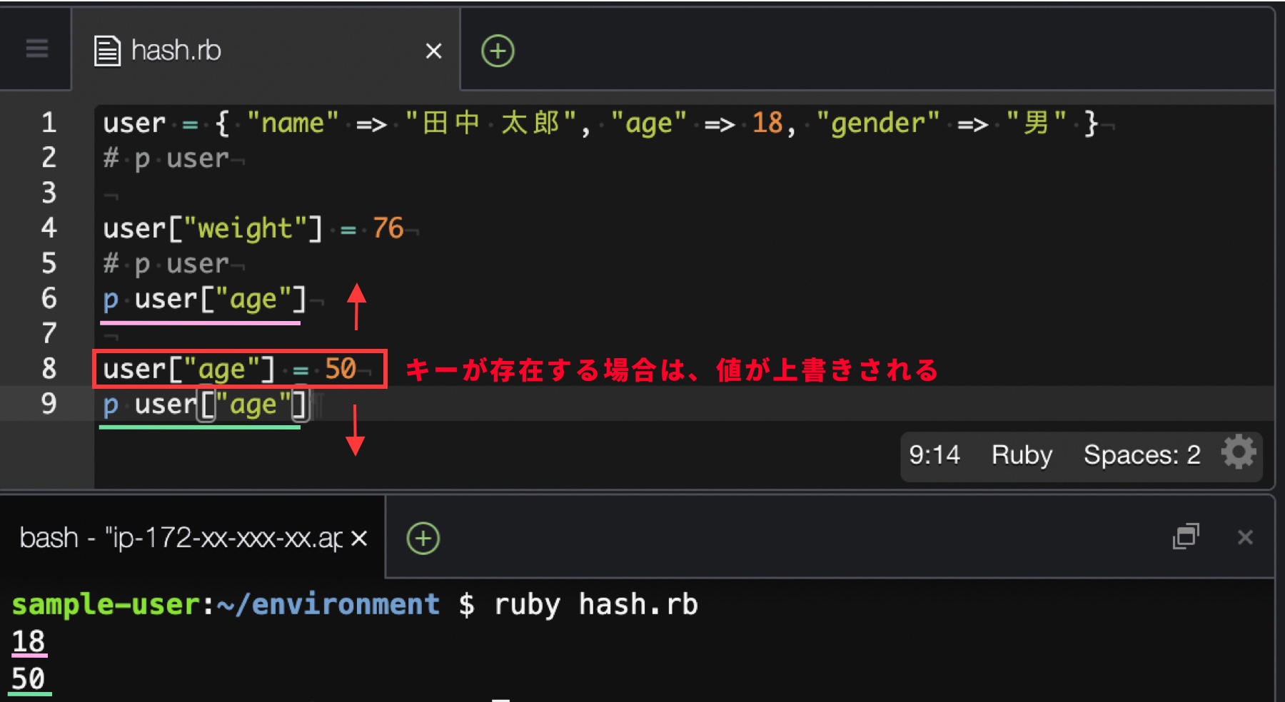 プログラミング入門】Rubyのハッシュを学ぼう | Pikawaka