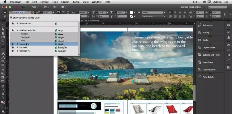 Adobe InDesign 1 Adobe InDesign 1