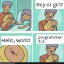 Hello, World – ProgrammerHumor.io