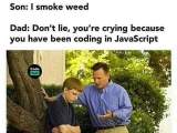 Why Are You Lying Programmerhumor Io