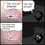 Finally… – ProgrammerHumor.io